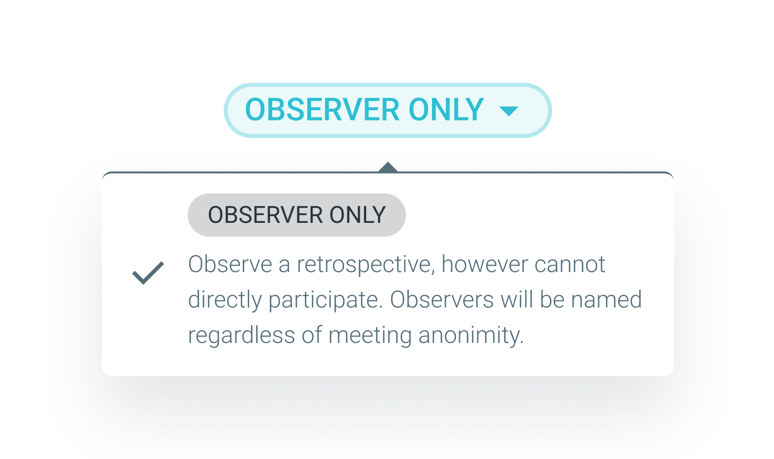 agile-coach-observer-role